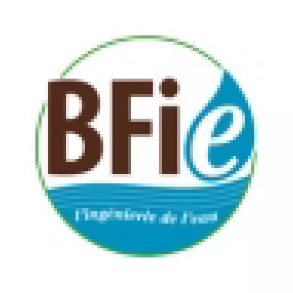 Logotype-membre_BFIE