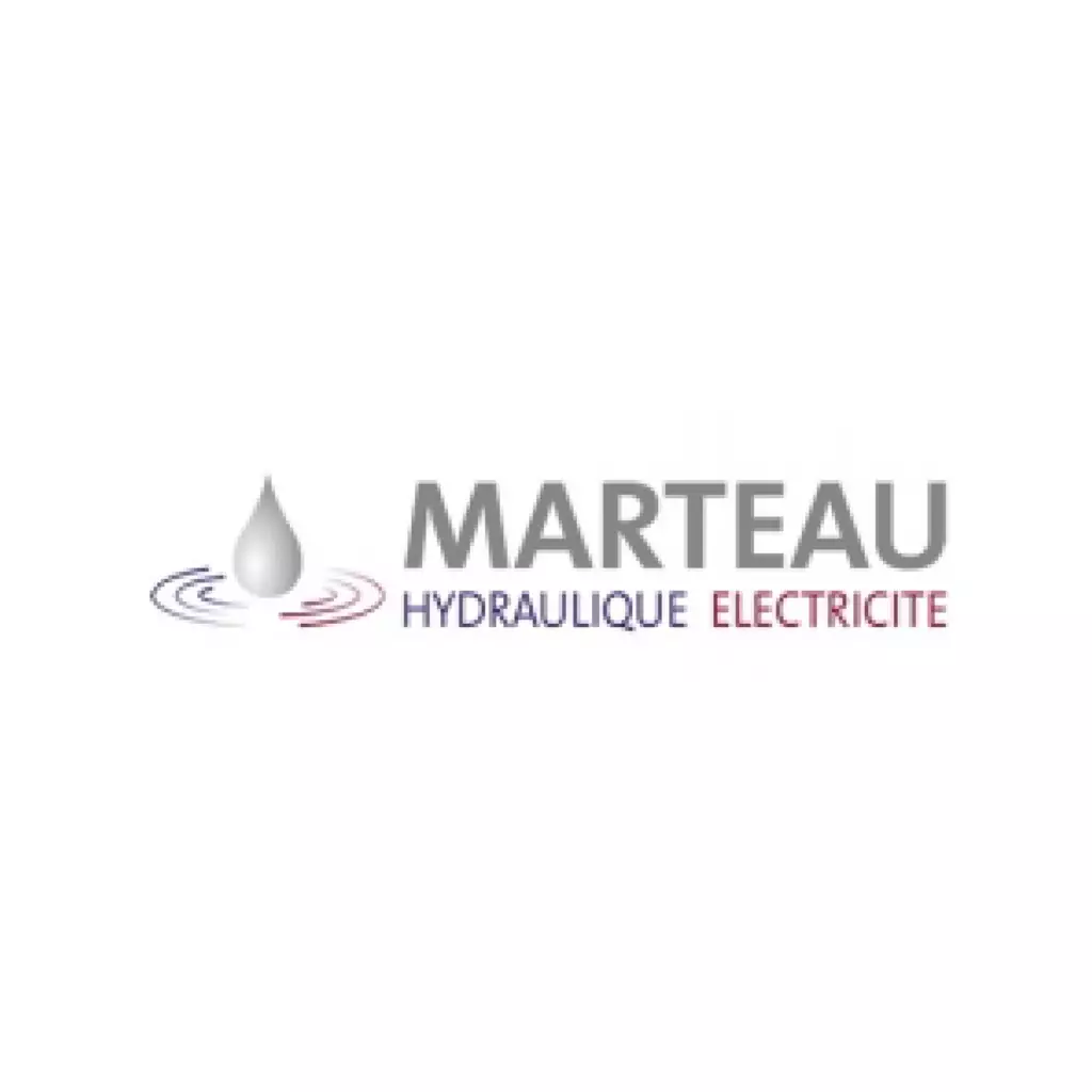 Logotype-membre_MARTEAU